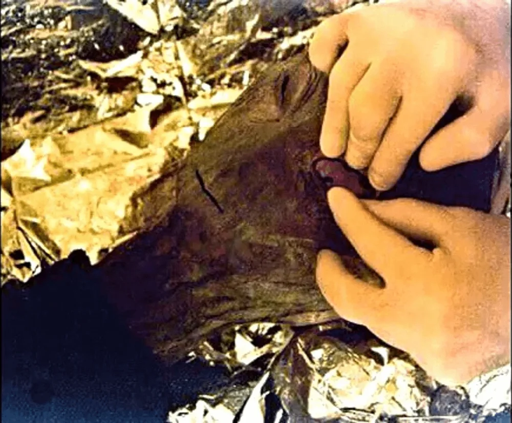 Still of two hands examining the foil-wrapped head of the creature from the Reed footage
