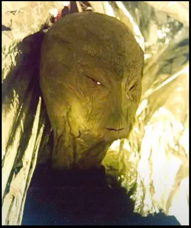 Close-up still of the creature's greenish, wrinkled face with slanted eyes, from the 1996 Jonathan Reed footage