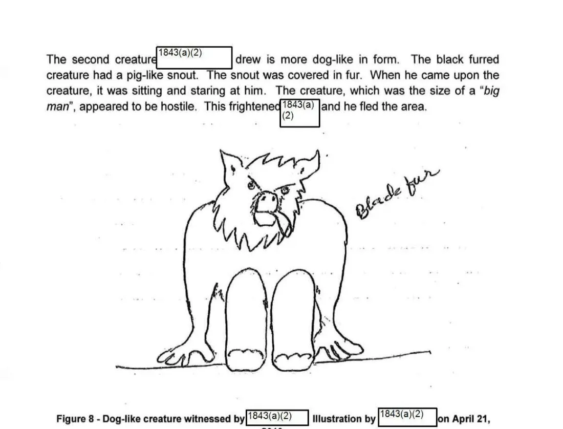 A witness's pencil drawing of a hunched creature with a pig-like snout, shaggy head and black fur, sitting on a line, with the caption Figure 8 Dog-like creature and redaction boxes over the witness's name